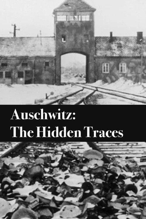 Auschwitz: The Hidden Traces 2022 official movie poster