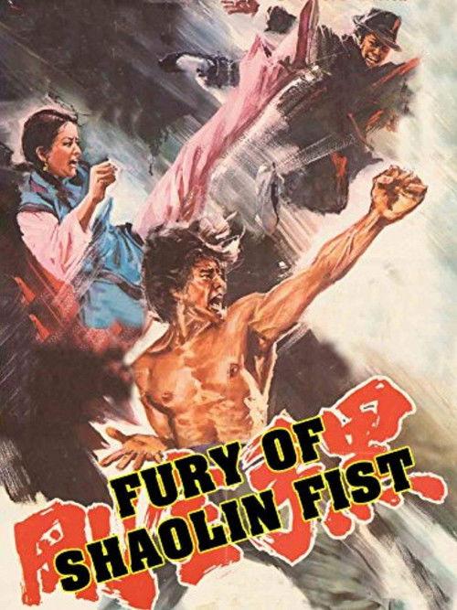 Fury of Shaolin Fist 1978 official movie poster
