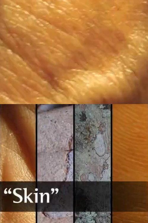 Skin 2015 official movie poster