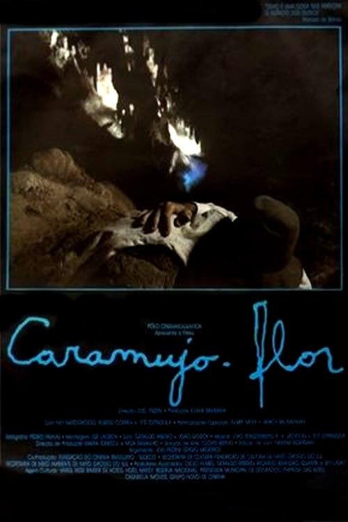 Caramujo-Flor 1988 official movie poster