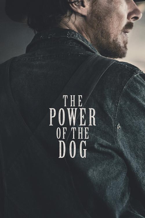The Power of the Dog 2021 official movie poster