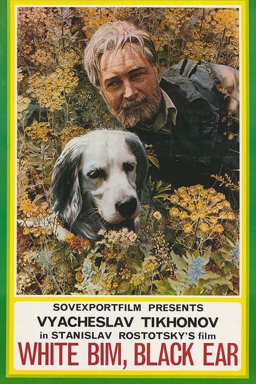 White Bim Black Ear 1977 official movie poster