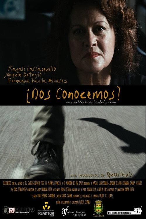 ¿Nos conocemos? 2014 official movie poster