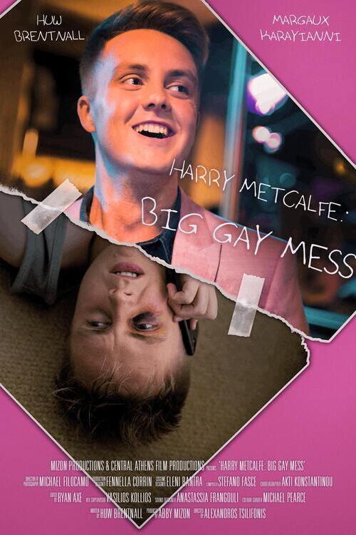 Harry Metcalfe: Big Gay Mess 2019 official movie poster