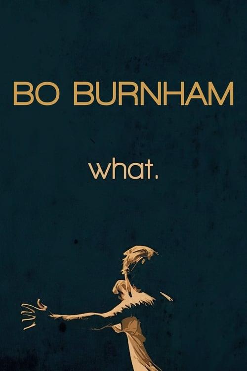Bo Burnham: What. 2013 official movie poster