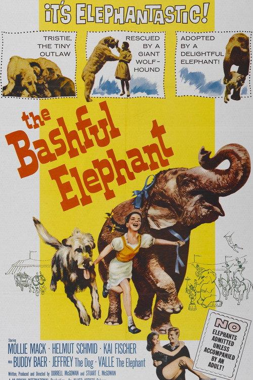 The Bashful Elephant 1962 official movie poster
