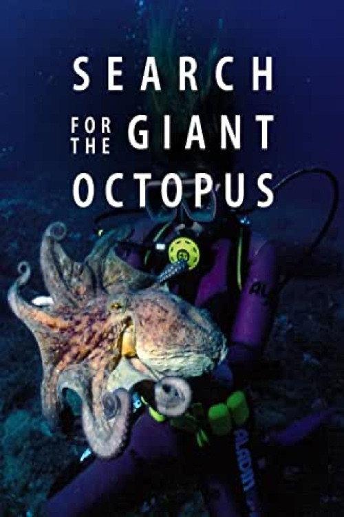 Search for the Giant Octopus 2009 official movie poster