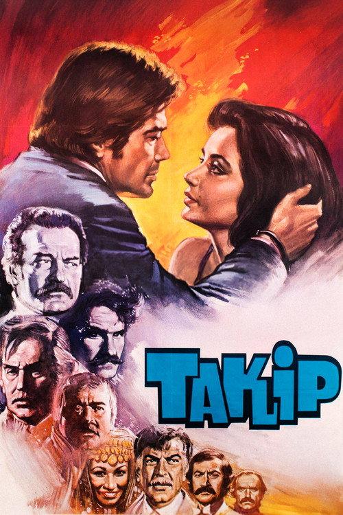 Takip 1981 official movie poster