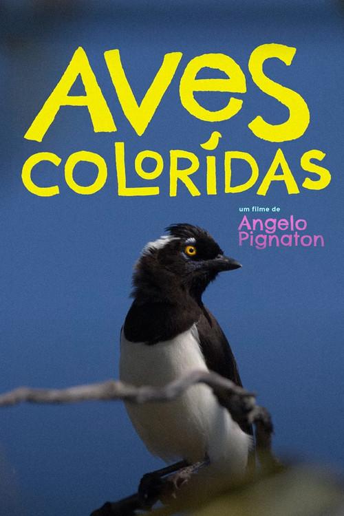 Colored Birds 2023 official movie poster
