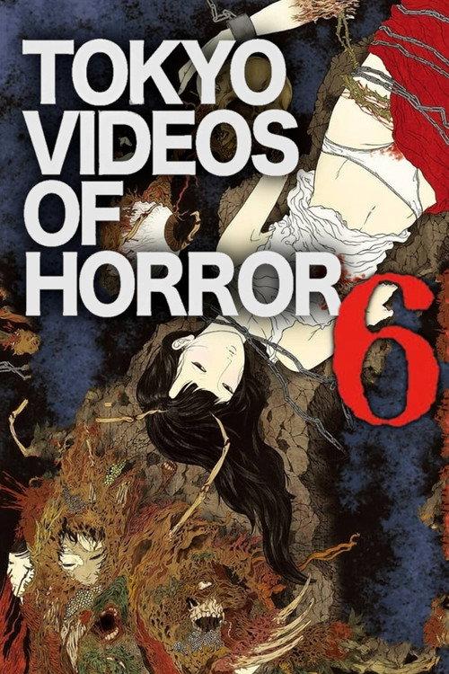 Tokyo Videos of Horror 6 2013 official movie poster