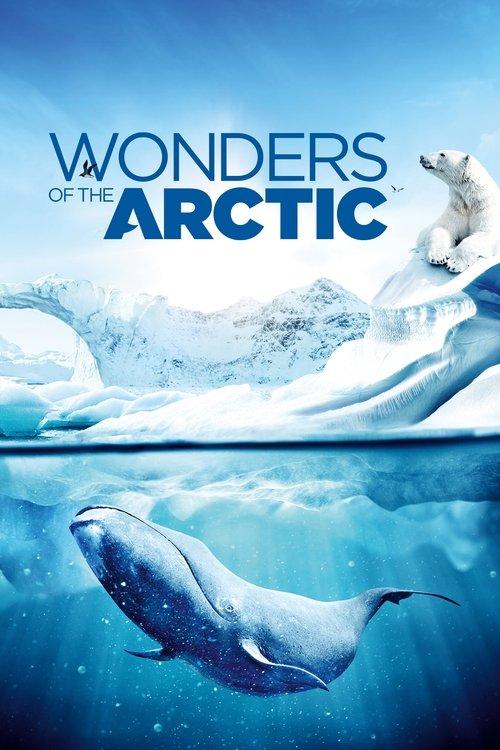 Wonders of the Arctic 2014 official movie poster