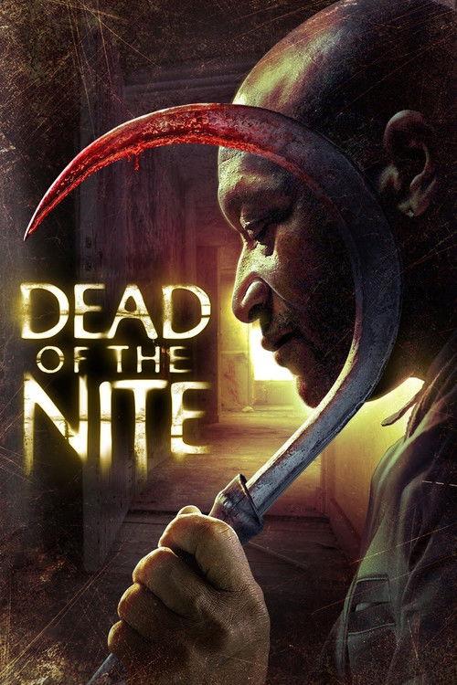 Dead of the Nite 2013 official movie poster