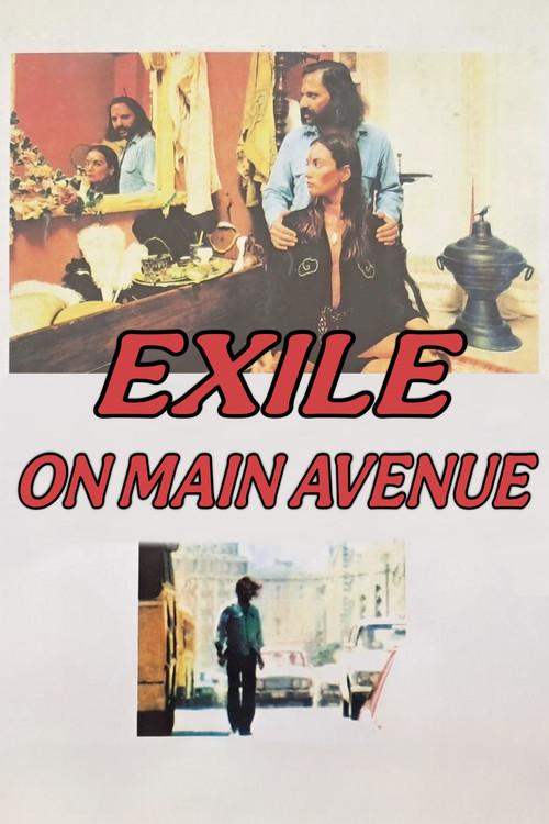 Exile on Main Avenue 1979 official movie poster