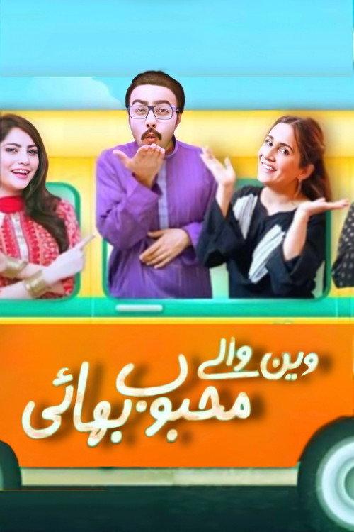 Van Waley Mehboob Bhai 2016 official movie poster
