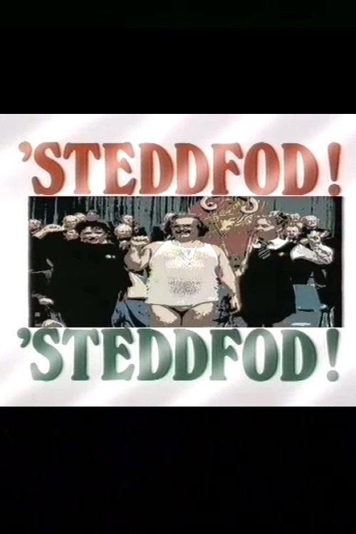 Steddfod! Steddfod! 1989 official movie poster