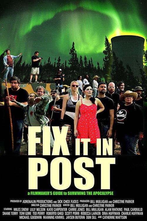 Fix It In Post 2014 official movie poster