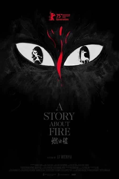 A Story About Fire 2026 official movie poster