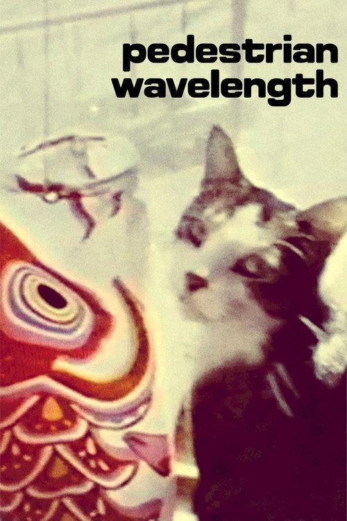 Pedestrian Wavelength 1979 official movie poster