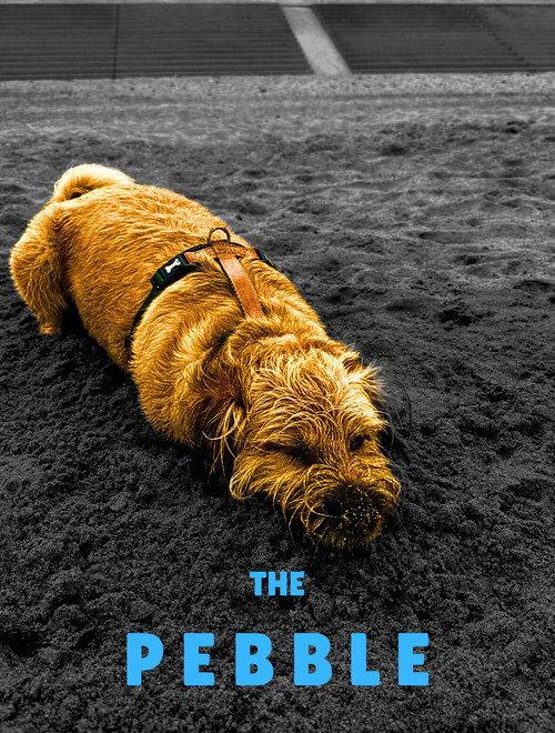 The Pebble 2022 official movie poster
