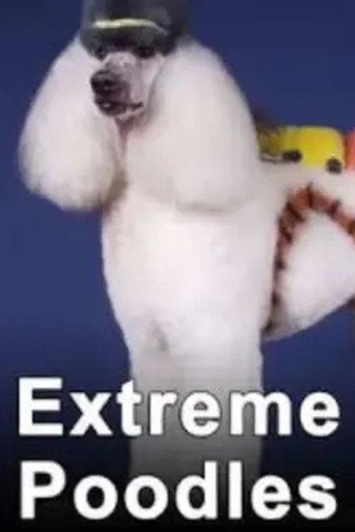 Extreme Poodles  official movie poster