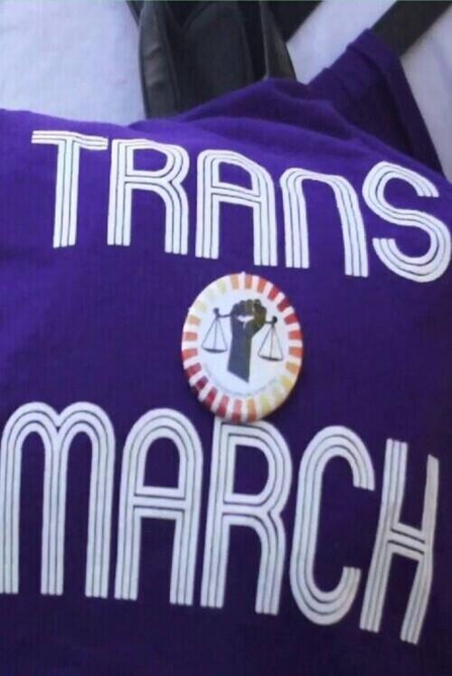Trans*march 2013 official movie poster