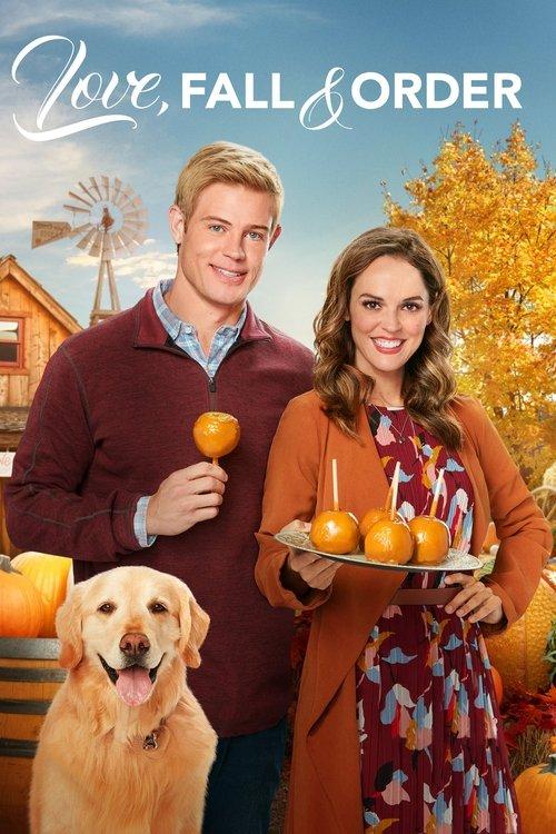 Love, Fall & Order 2019 official movie poster