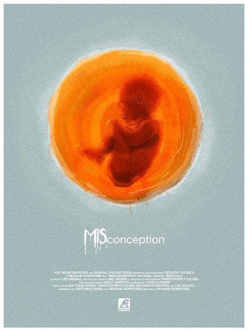 Misconception 2020 official movie poster