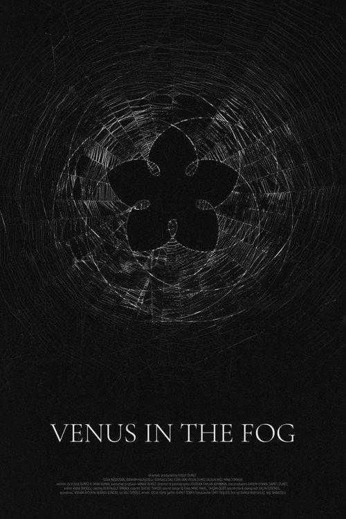 Venus in the Fog 2020 official movie poster