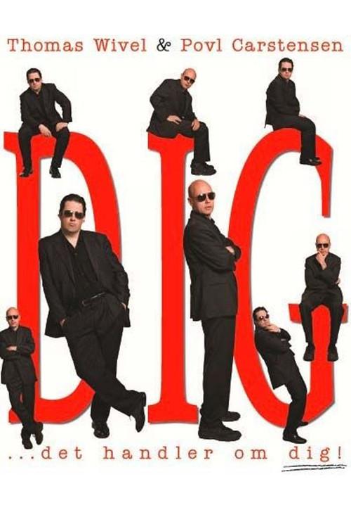 DIG 2007 official movie poster