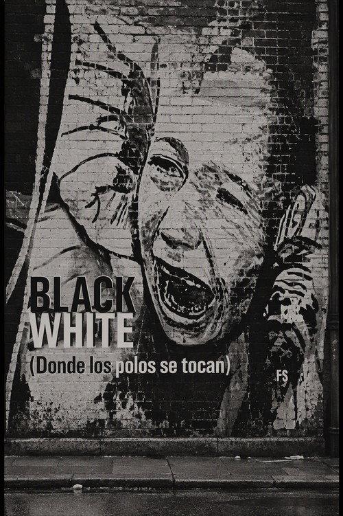 Blackwhite. Donde los polos se tocan 2004 official movie poster