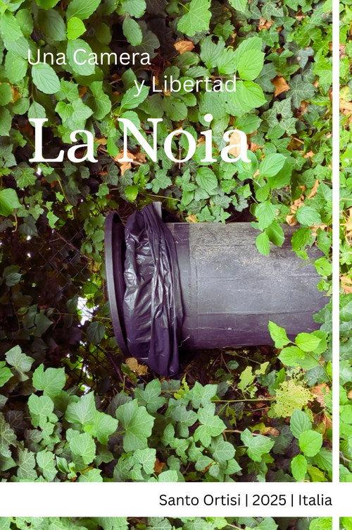 La noia 2025 official movie poster