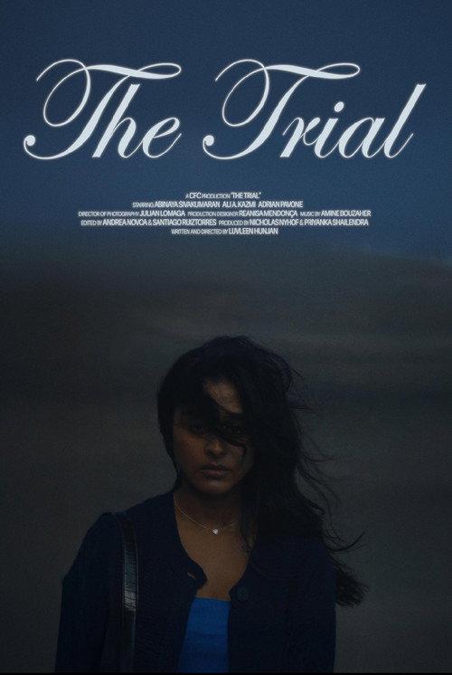 The Trial 2024 official movie poster