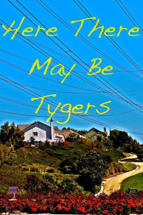 Here There May Be Tygers 2013 official movie poster