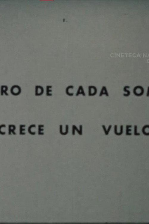 Dentro de Cada Sombra Crece un Vuelo  official movie poster