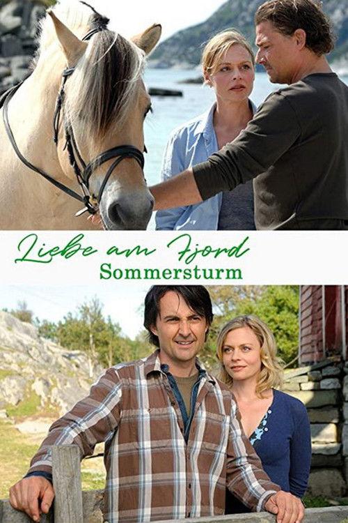 Liebe am Fjord - Sommersturm 2010 official movie poster