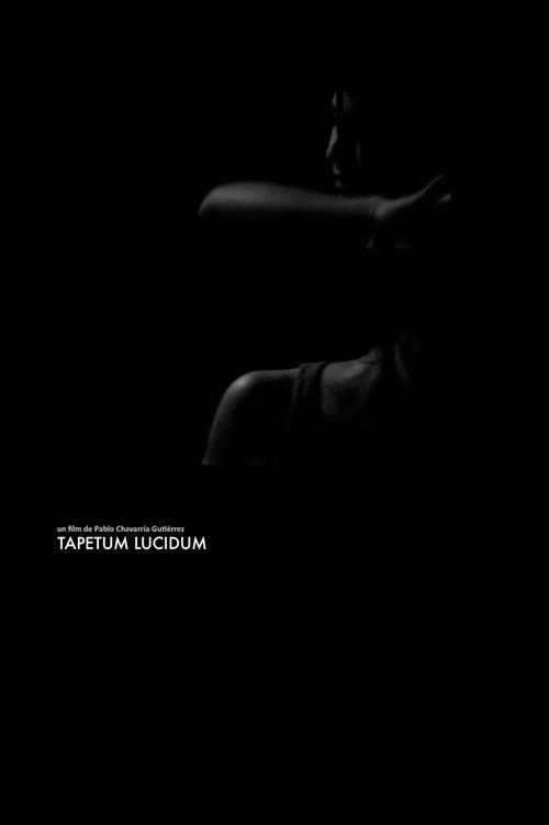 Tapetum Lucidum 2013 official movie poster