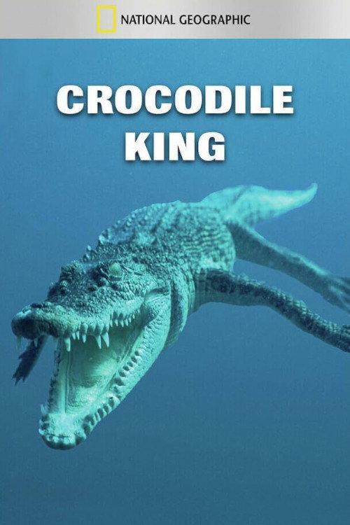 Crocodile King 2010 official movie poster