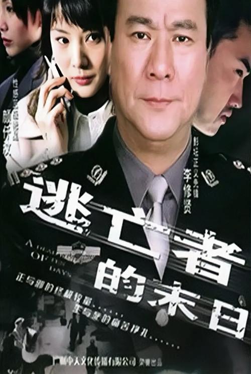 A Deadline of Ten Days 2004 official movie poster
