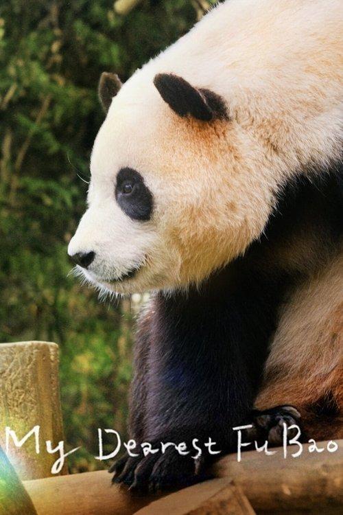 My Dearest Fu Bao 2024 official movie poster