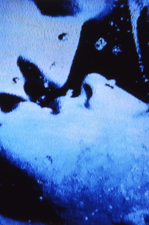 Self-Portrait in 23 Rounds: a Chapter in David Wojnarowicz’s Life, 1989–1991 2019 official movie poster