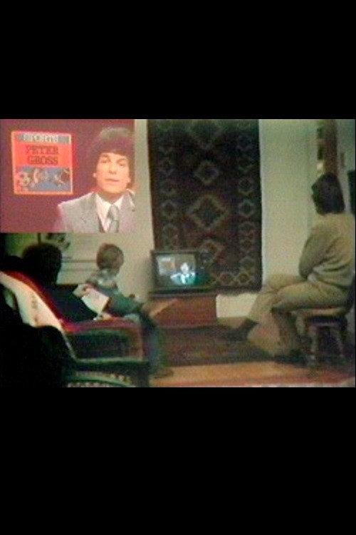 Local TV News Analysis 1980 official movie poster