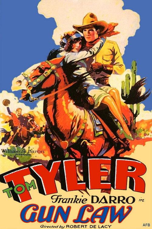 Gun Law 1929 official movie poster