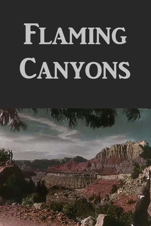 Flaming Canyons 1929 official movie poster
