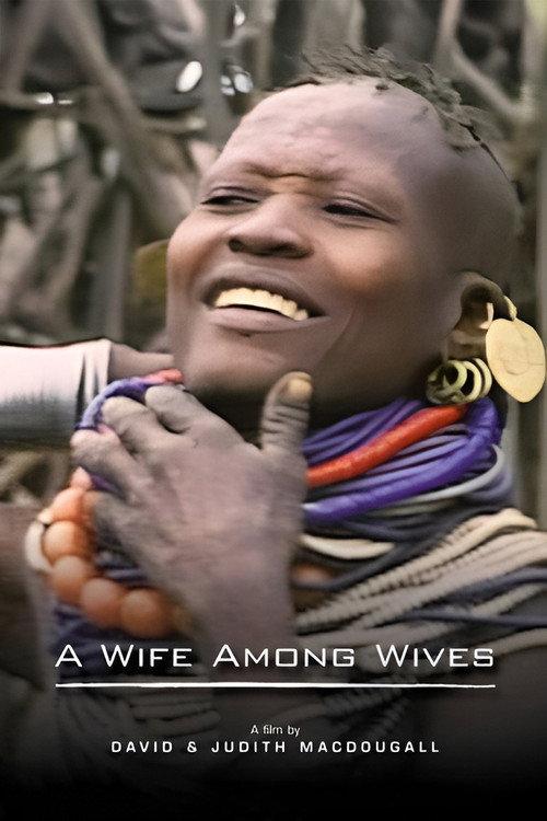 A Wife Among Wives 1981 official movie poster