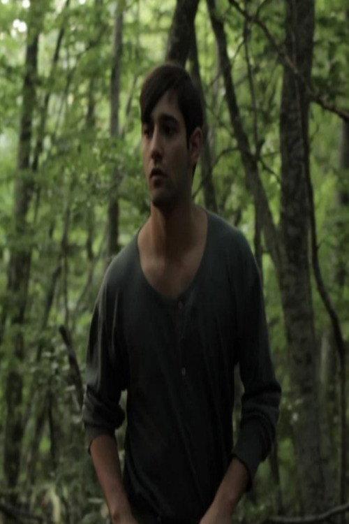 The dome 2012 official movie poster