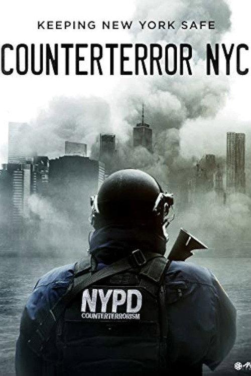 Counterterror NYC 2011 official movie poster