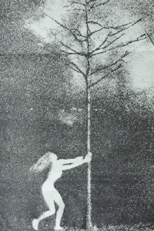 The Phallic Forest 1970 official movie poster