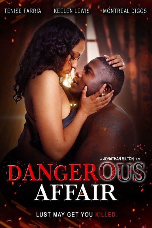 Dangerous Affair 2024 official movie poster