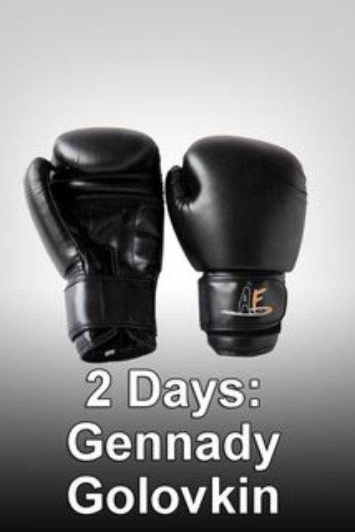 2 Days: Gennady Golovkin 2013 official movie poster