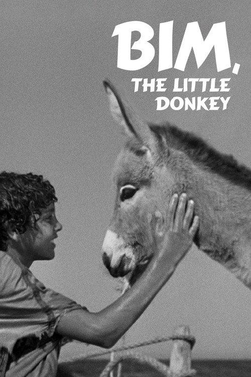 Bim, the Little Donkey 1951 official movie poster